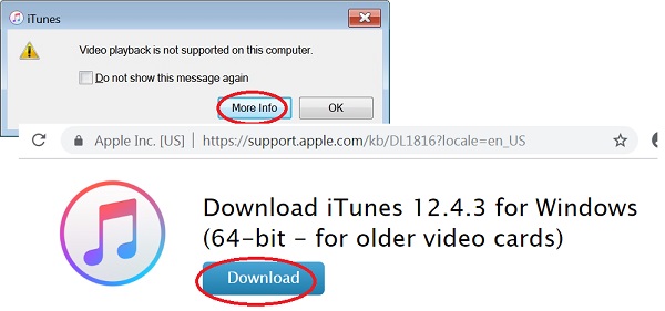 iTunes Video Playback Not Supported