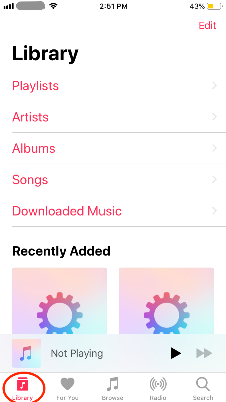 iPhone Music Library Screenshot