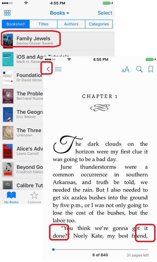 Open and Read Books on iBooks