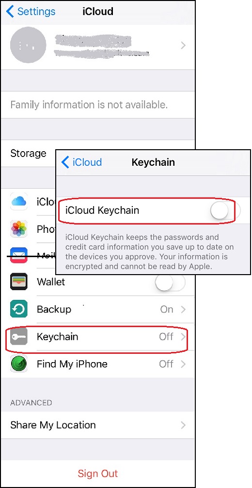 Setup iCloud Keychain Service from iPhone