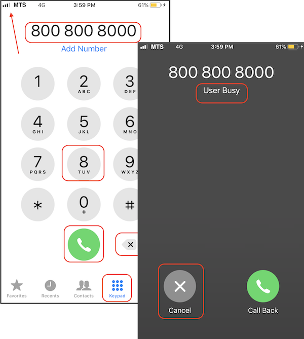 Make Calls with Phone App on iPhone