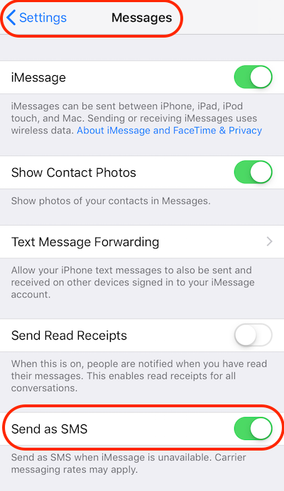 Turn On SMS Function on iPhone