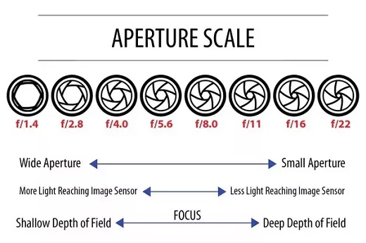 Phone Camera Aperture Scale