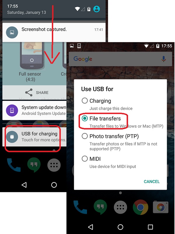 LG Phone USB Connection for File Transfer