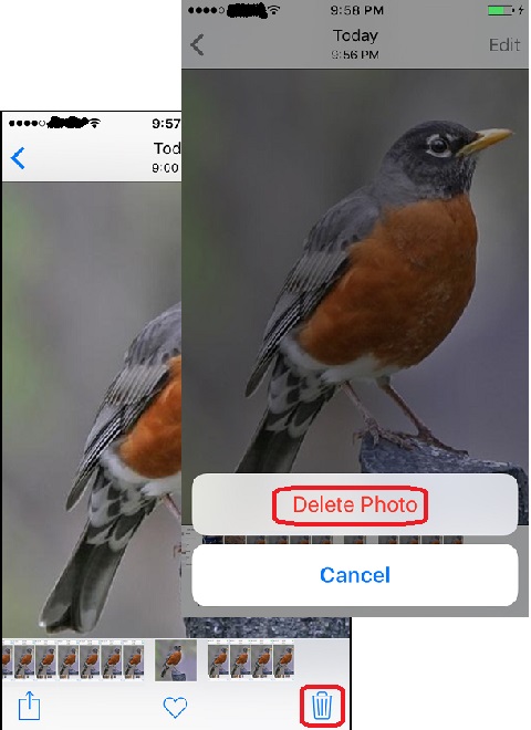 Deleting a Photo in iPhone Photos App