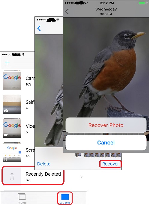 Restoring a Deleted Photo in iPhone Photos App